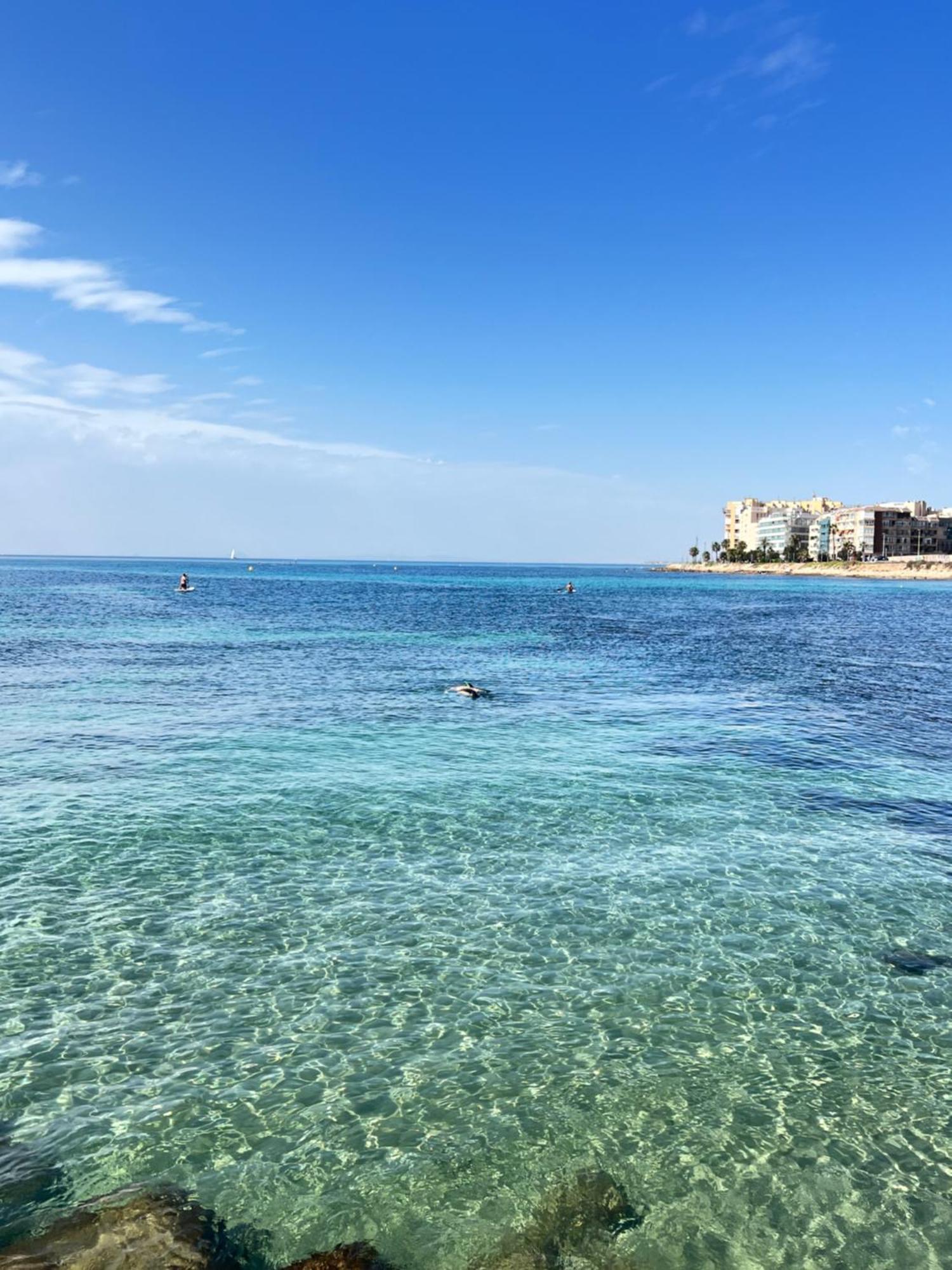 Renovated Cosy Studio 350 M Playa Del Cura, With Official Touristic License Torrevieja Eksteriør billede
