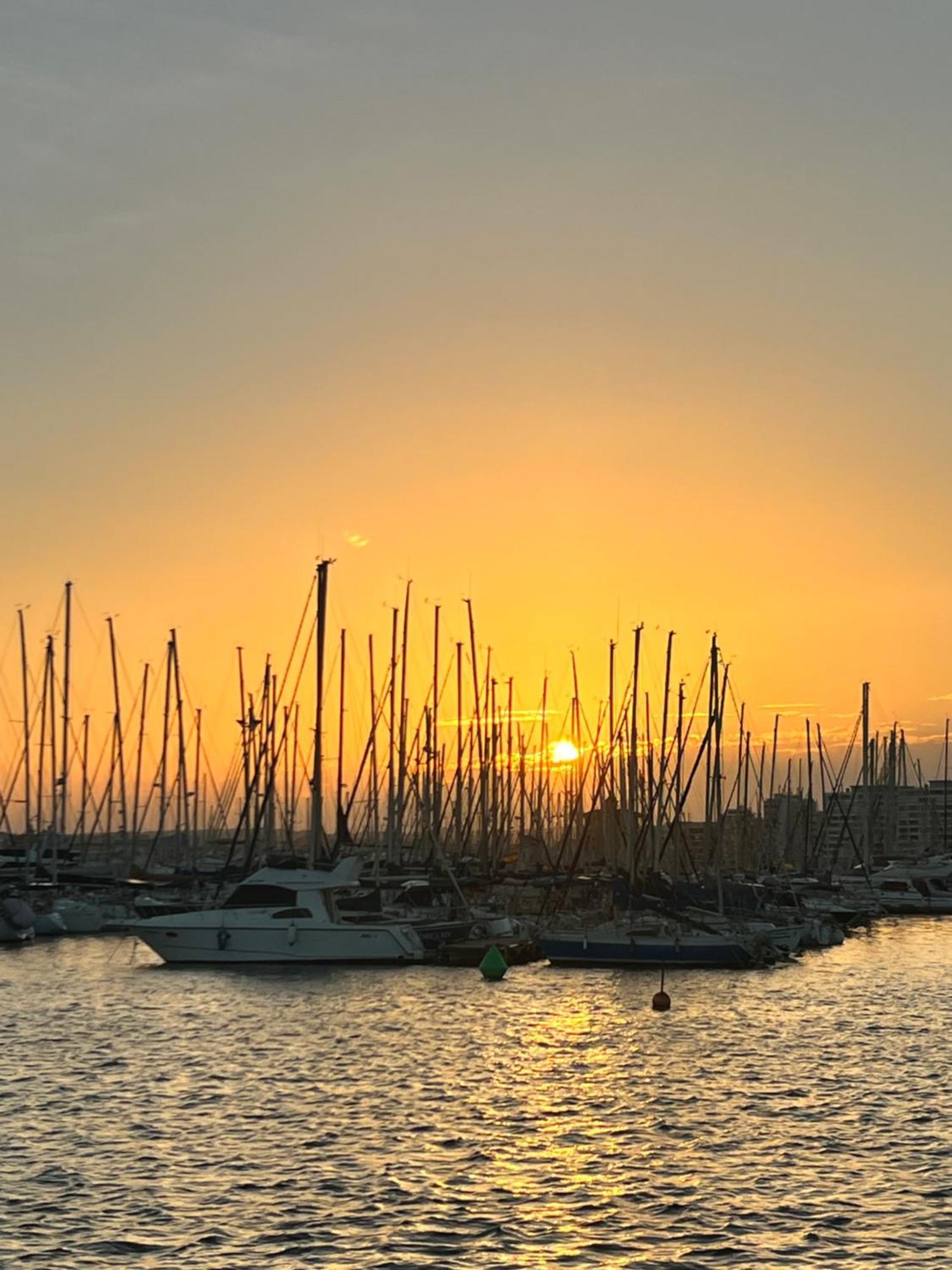 Renovated Cosy Studio 350 M Playa Del Cura, With Official Touristic License Torrevieja Eksteriør billede